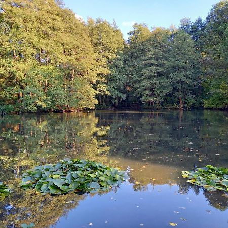 Ferienwohnung Am Waldsee Mit Schwimmbad Gernsbach Buitenkant foto