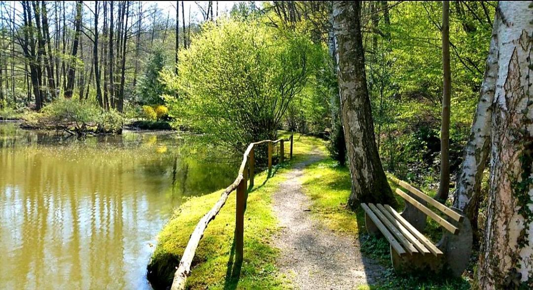 Ferienwohnung Am Waldsee Mit Schwimmbad Gernsbach Buitenkant foto