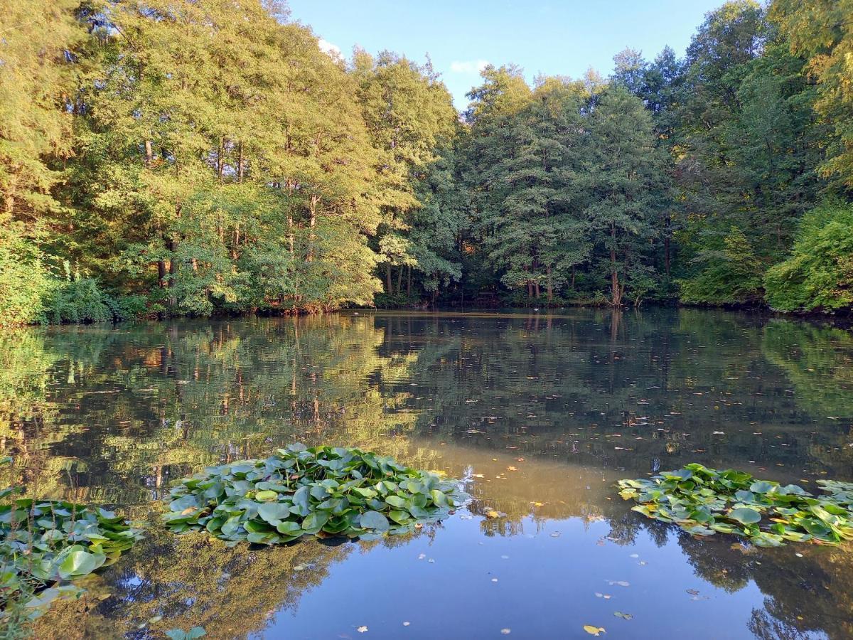 Ferienwohnung Am Waldsee Mit Schwimmbad Gernsbach Buitenkant foto