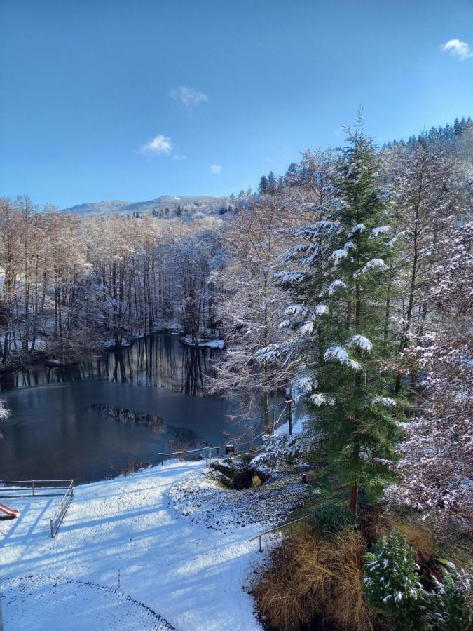 Ferienwohnung Am Waldsee Mit Schwimmbad Gernsbach Buitenkant foto